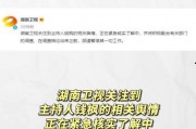 吃瓜娱乐全部,吃瓜群众视角下的明星八卦全解析